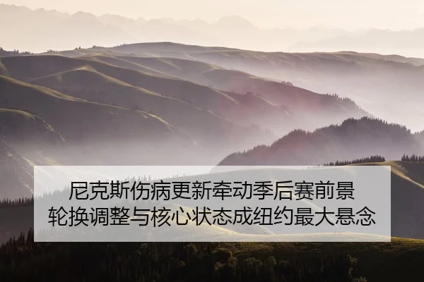 ni-ke-si-shang-bing-geng-xin-qian-dong-ji-hou-sai-qian-jing-lun-huan-tiao-zheng-yu-he-xin-zhuang-tai-cheng-niu-yue-zui-3-282.jpg