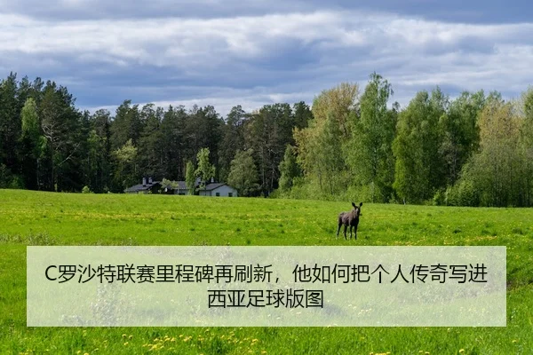 luo-sha-te-lian-sai-li-cheng-bei-zai-shua-xin-ta-ru-he-ba-ge-ren-chuan-qi-xie-jin-xi-ya-zu-qiu-ban-tu-2-777.jpg